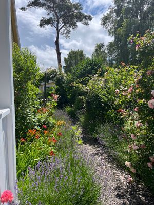 Villa Vilebo - Bild 73