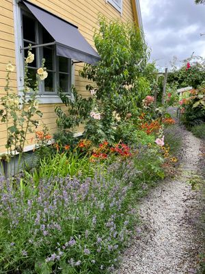 Villa Vilebo - Bild 77