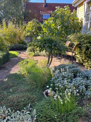 Villa Vilebo - Bild 75