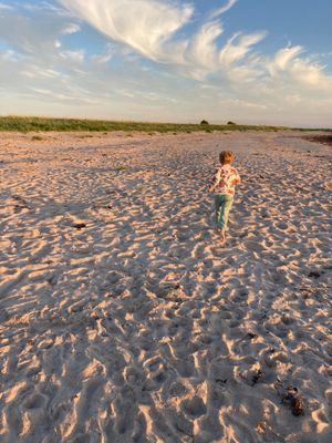 Strandnära stuga i Strandbaden, Kullaberg - Bild 26