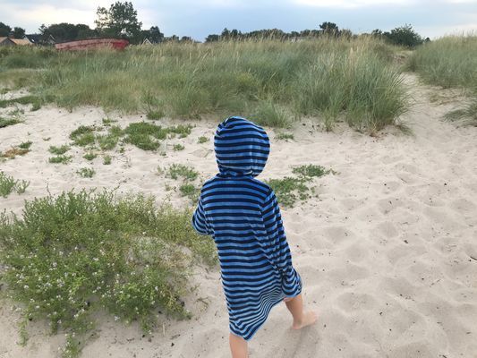 Strandnära stuga i Strandbaden, Kullaberg - Bild 30