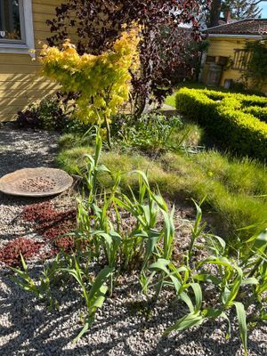 Villa Vilebo - Bild 63