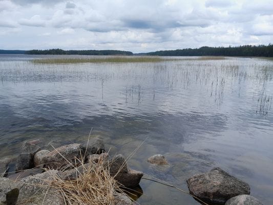 Bekvämt sjönära boende i Tiveden - Bild 16