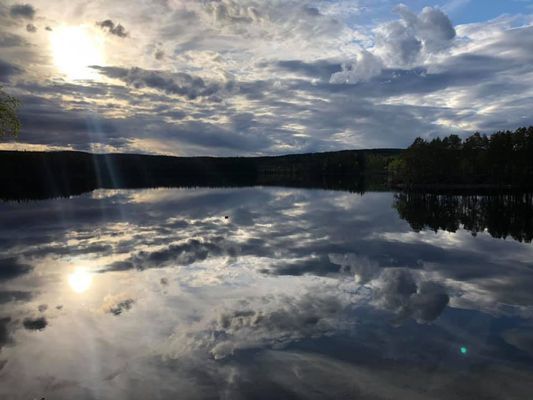 Semesterhuset vid Älgsjön "Stora älg" - Bild 9