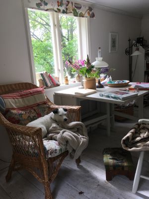 Hyr denna stuga i  på 45 m². 3-4 sängplatser. Pris ej tillgängligt. Se bilder och tillgänglighet här.