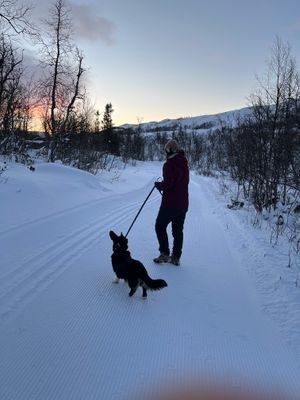 Stuga för familj, vänner, (hund) Tänndalens Alpina - Bild 17