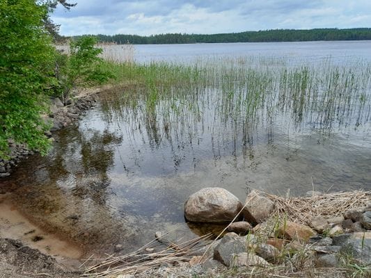 Bekvämt sjönära boende i Tiveden - Bild 17