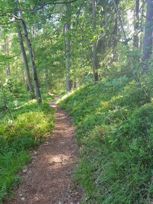 Charmig sommaridyll - Bild 21