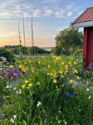 Lilla Brostugan i Ockelbo - Bild 17