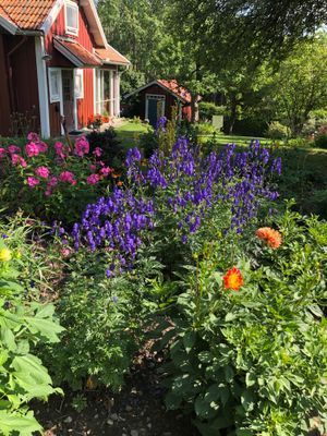 Hyr denna stuga i Trosa på 100 m². 4-6 sängplatser. Från 8 700 kr per vecka. Se bilder och tillgänglighet här.