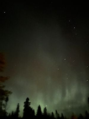 Mysig nyrenoverad timmerstuga i Sälen - Bild 27