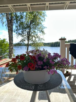 Stuga med sjötomt - Bild 38