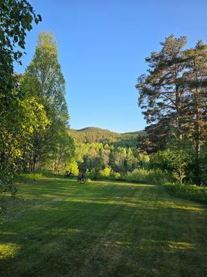 Fritidshuset vid Klarälven - Bild 17