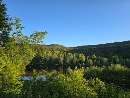 Fritidshuset vid Klarälven - Bild 19
