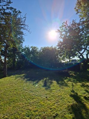 Härligt gammalt hus på landsbygd - Bild 10