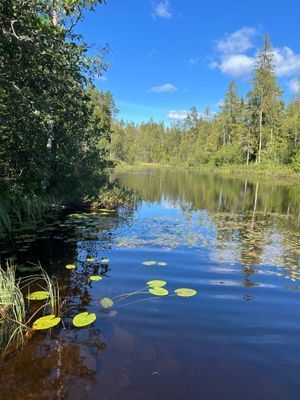 Naturnära stuga vid bergslagsleden - Bild 9