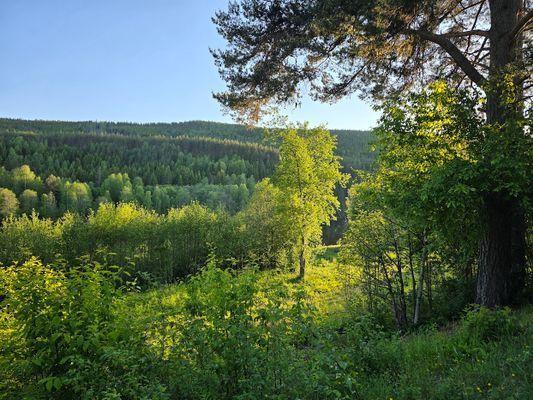 Fritidshuset vid Klarälven - Bild 21