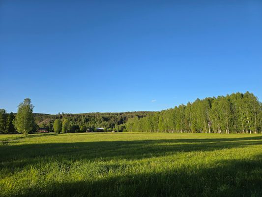 Fritidshuset vid Klarälven - Bild 22