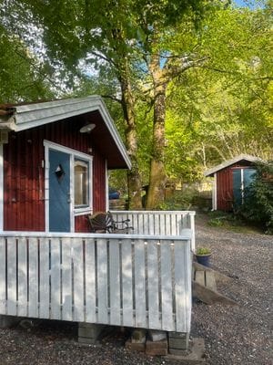 Enkel sommarstuga i åkulla bokskog - Bild 6