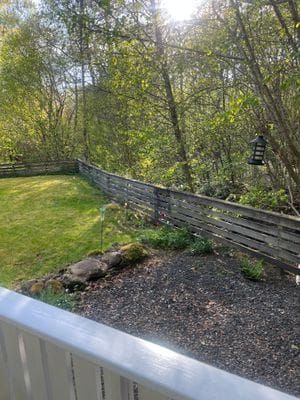 Enkel sommarstuga i åkulla bokskog - Bild 8