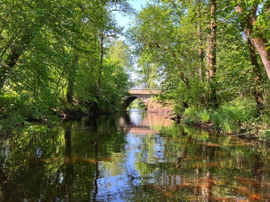 Boende med sjöutsikt och nära till skog och mark!