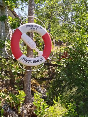 Mys i stuga  med fin natur vid sjö och skog - Bild 13