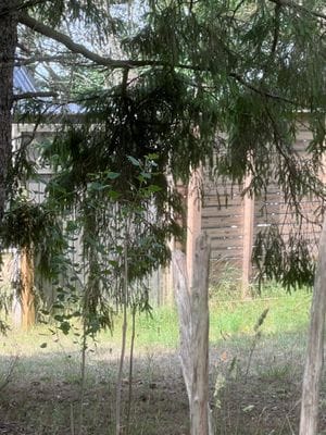 Strandnära stuga med havsutsikt - Bild 12