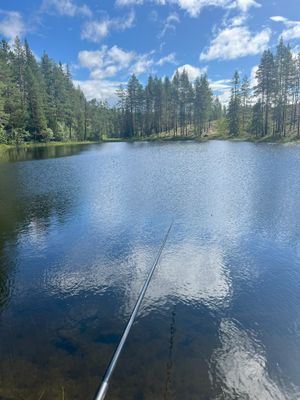 Pärla i Idre Himmelfjäll - Bild 60