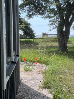 Strandnära stuga med havsutsikt - Bild 25