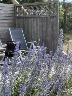 Strandnära stuga med havsutsikt - Bild 26