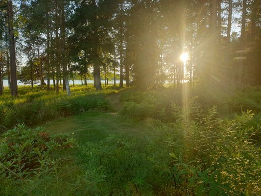 En idyllisk tillflykts plats vid sjön - Bild 21