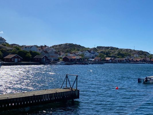 Tjörnekalv (bild tagen från Rönnäng)