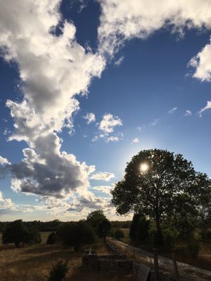Fårö kalkstenshus i gårdsmiljö - Bild 17