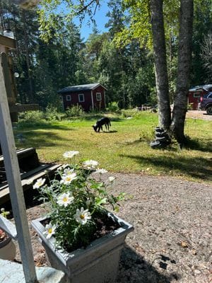 Bild 3 på Hunters Hill, cosy private retreat in the forest