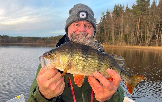 Stuga på vacker bondgård | Öppna vyer & nära sjön - Bild 16