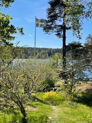 Bild 4 på SJÖTOMT I SÖDERLÄGE, 15 min. från Stockholm City