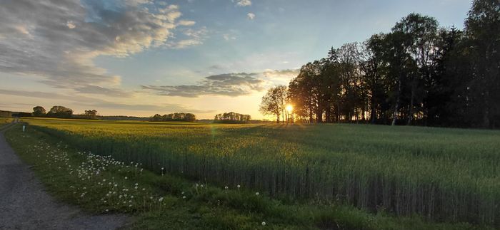 Stuga i norra skåne - Bild 22