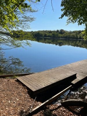 Österlen/Gyllebo - Bild 8