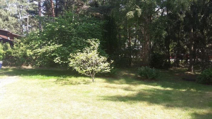 Yngsjö 80 m till havet och Sveriges längsta strand - Bild 9