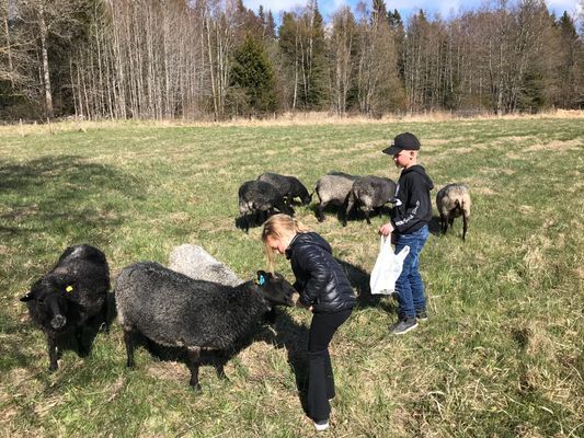 Attefallshus uthyres på Gräskö - Bild 13