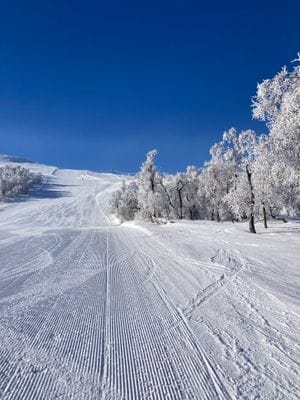 Nybyggd lägenhet i Hamra, Tänndalen - Bild 16