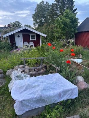 Bild 3 på Timmerstuga