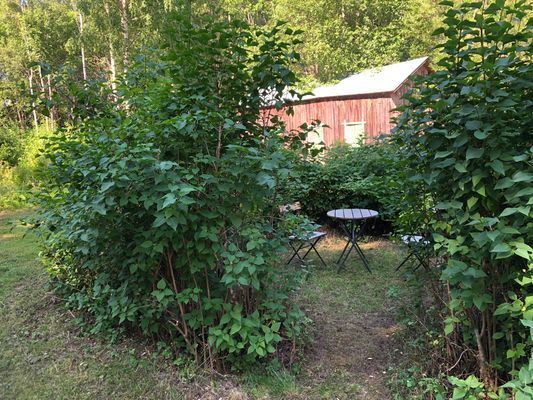 Mysig Sommarstuga utanför Näsåker - Bild 11