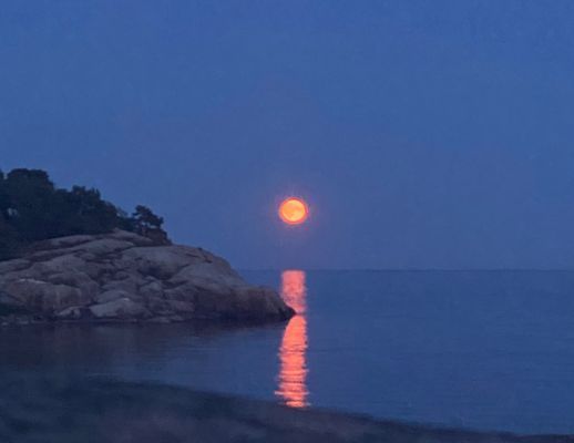 Havsnära i Grisslehamn - Bild 34