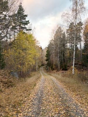 Stort hus med bastu, båt, brygga och sjöutsikt! - Bild 28