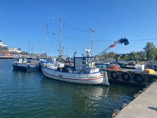 Havsnära i Grisslehamn - Bild 32