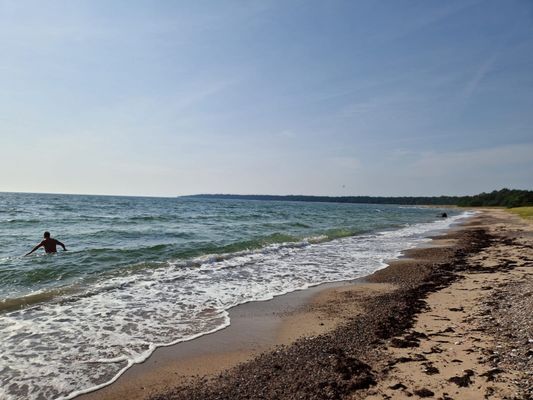 Liten mysig stuga med badrocksavstånd till havet - Bild 16