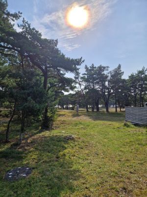 Liten mysig stuga med badrocksavstånd till havet - Bild 18