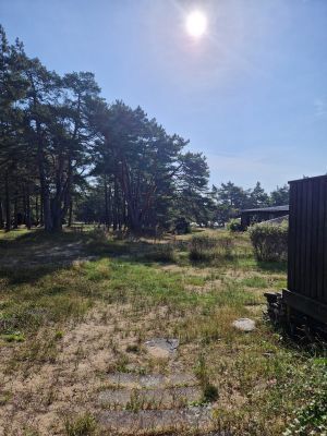 Liten mysig stuga med badrocksavstånd till havet - Bild 19