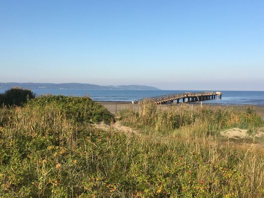 Strandnära stuga i Skummeslövsstrand - Bild 28